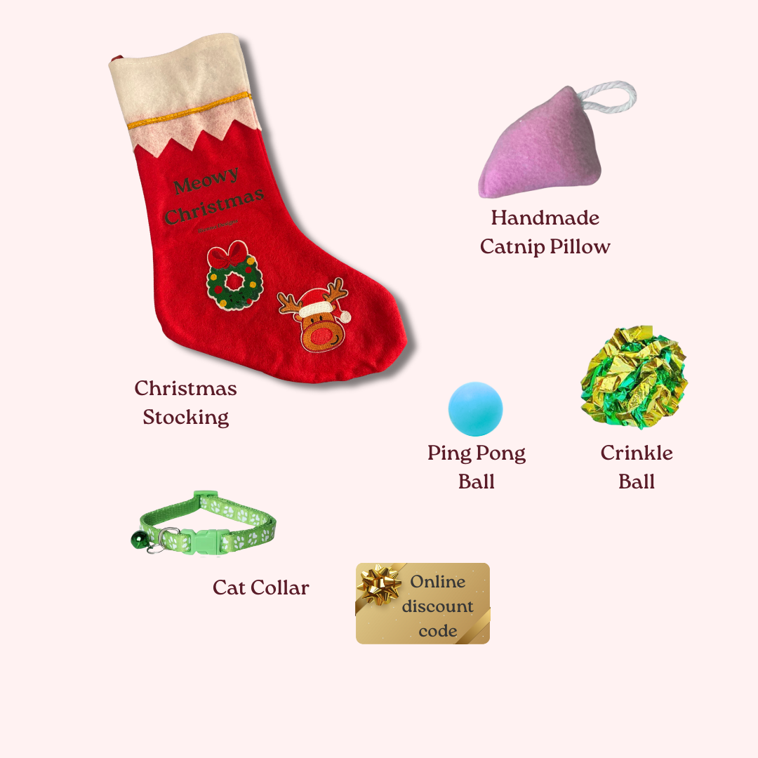 Cat Filled Christmas Stocking