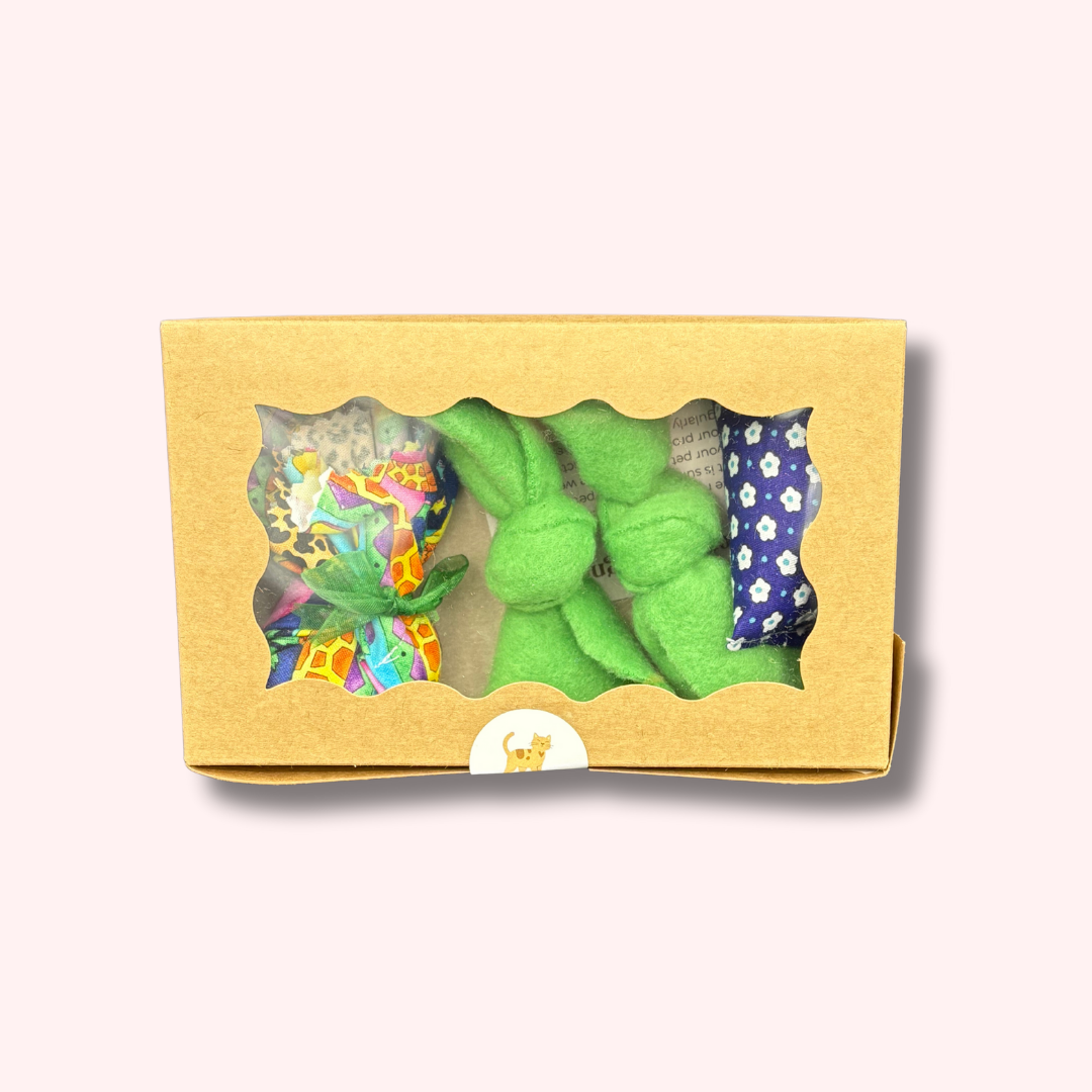 Cat toy gift set