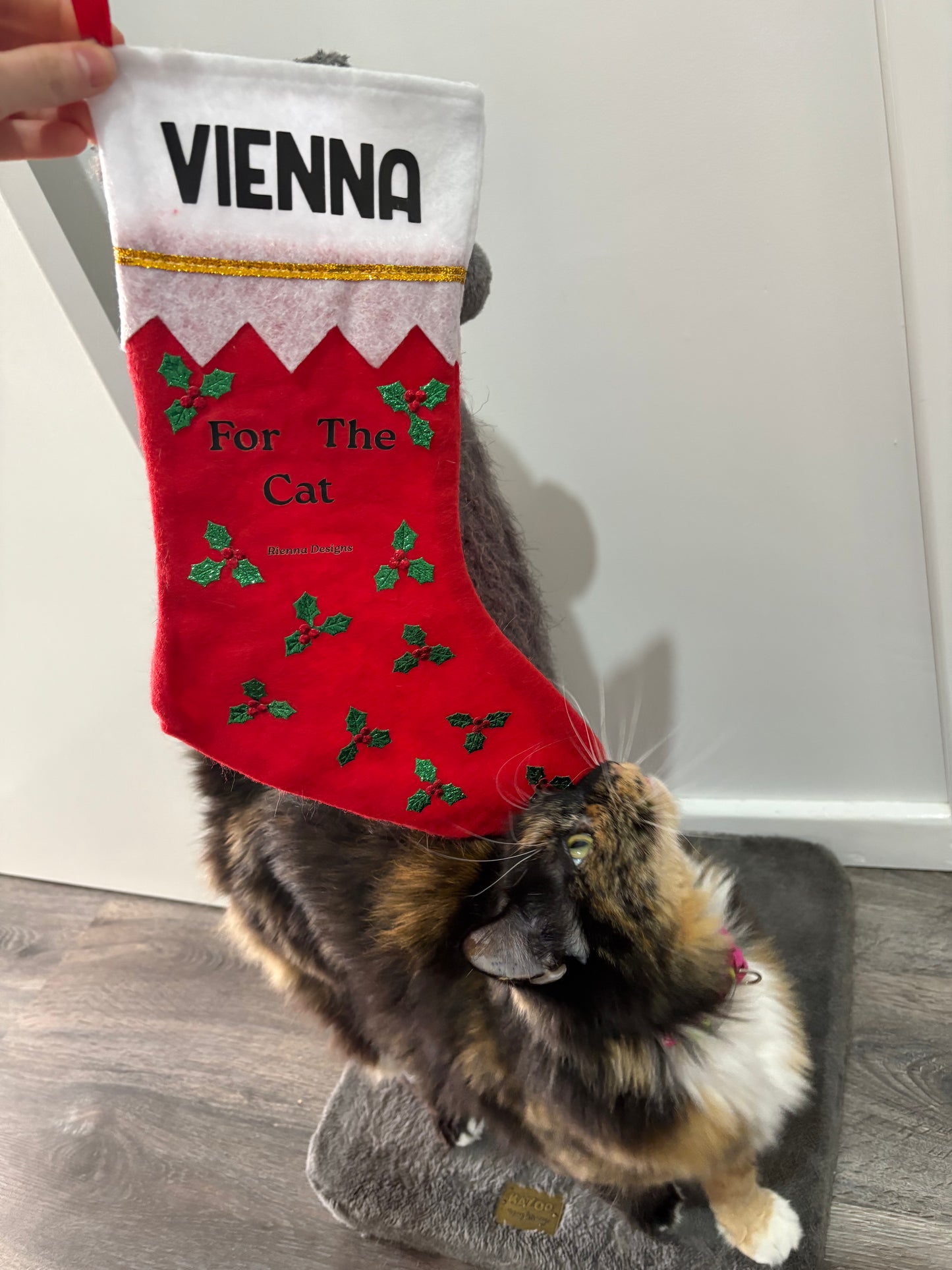 Cat Empty Christmas Stocking