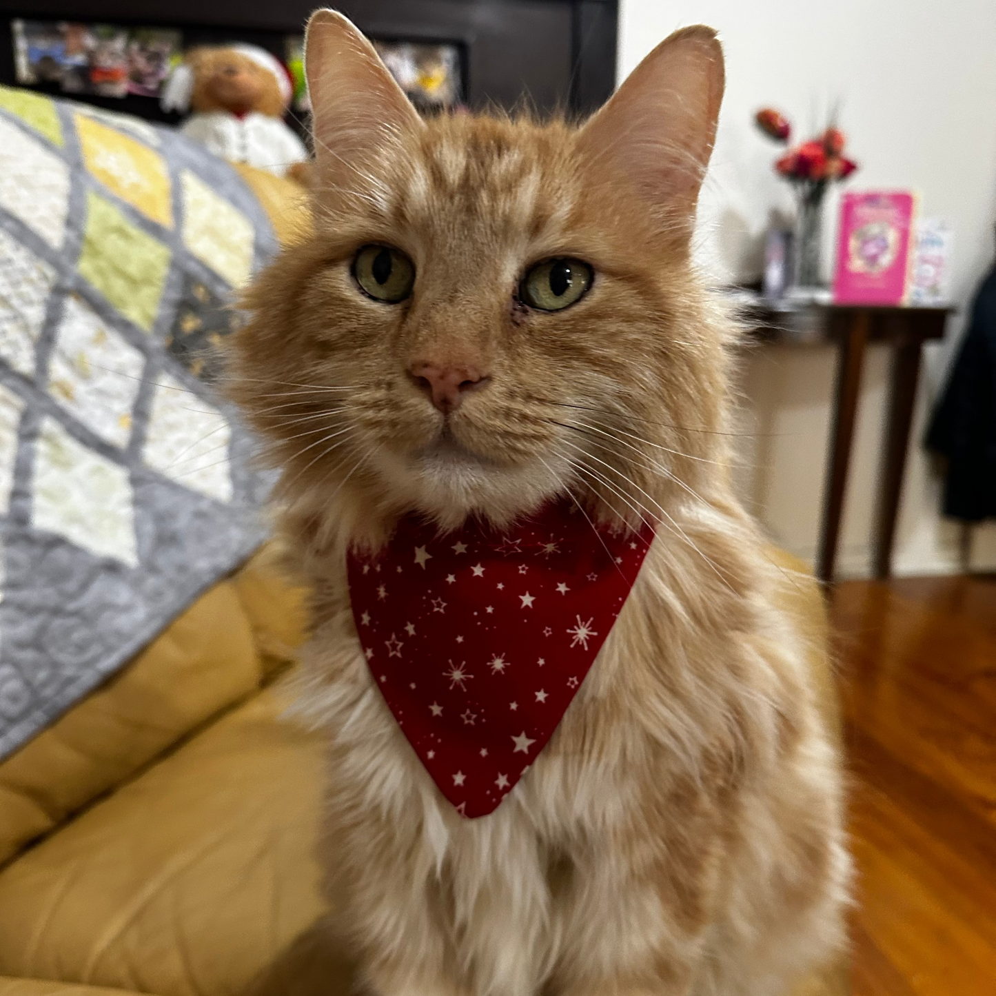 Over the Collar Cat Bandana
