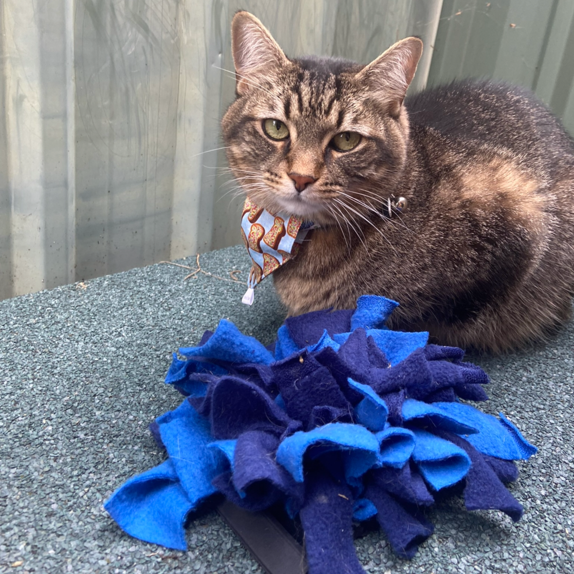 Snuffle Mat
