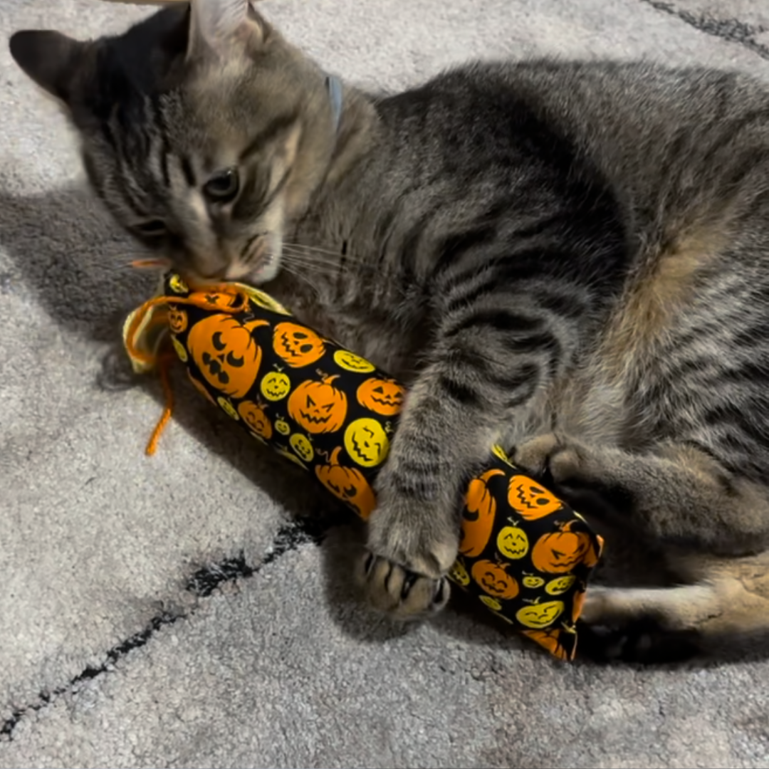 Freshly Made Catnip Toys