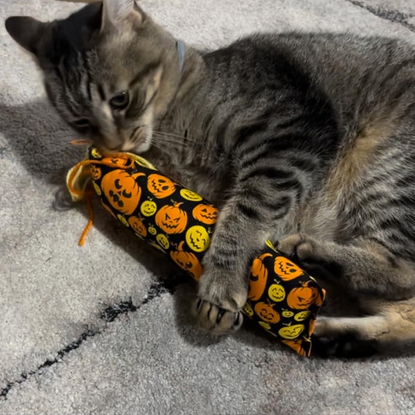 Freshly Made Catnip Toys