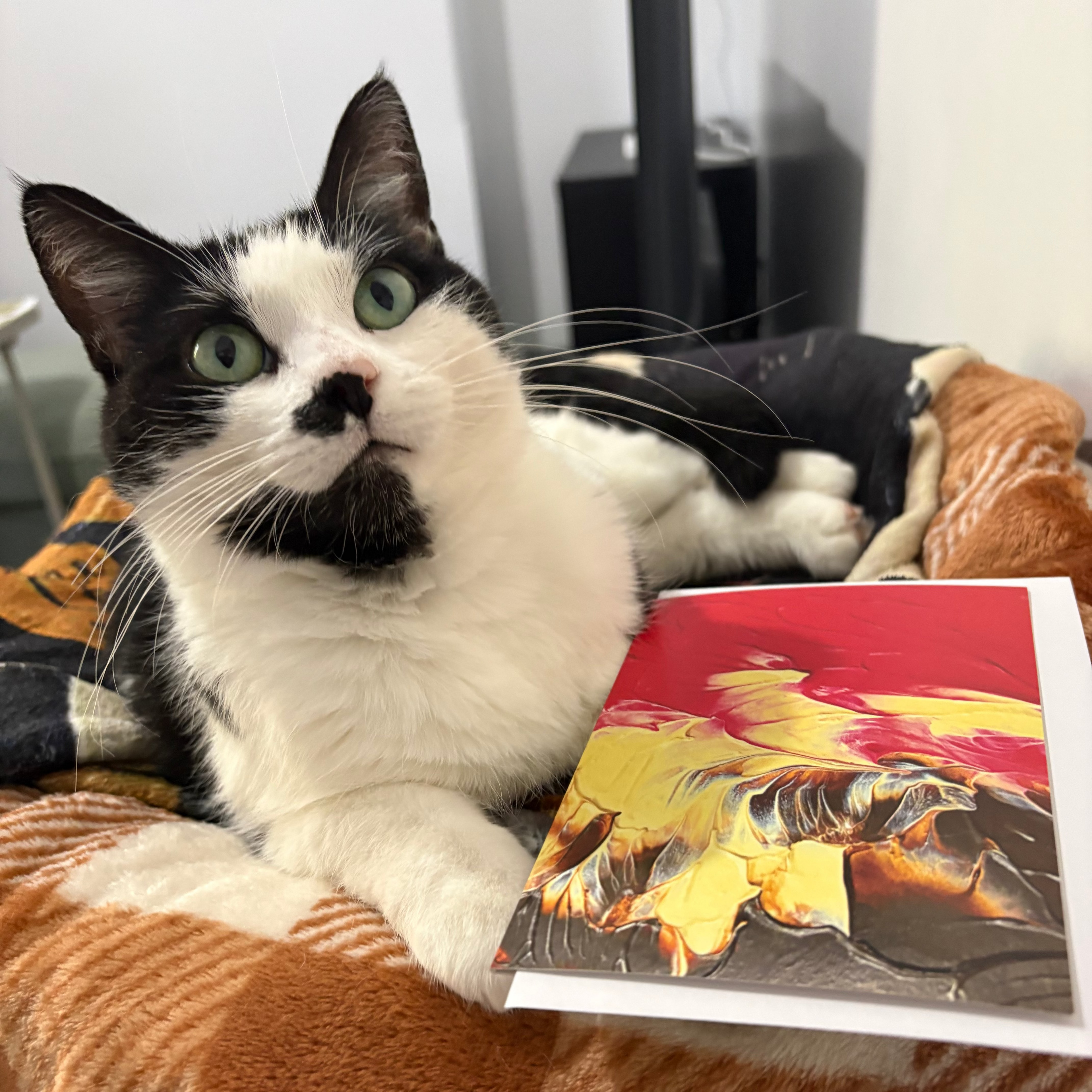 KMC Art painted by cats