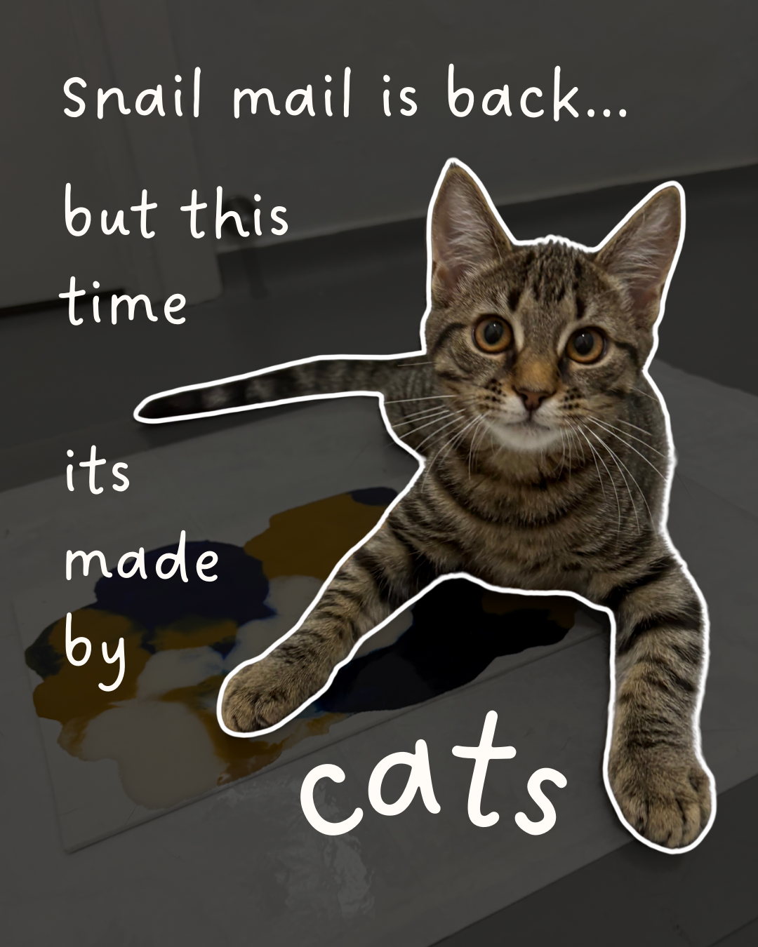 Kitty Mail Club (coming soon)