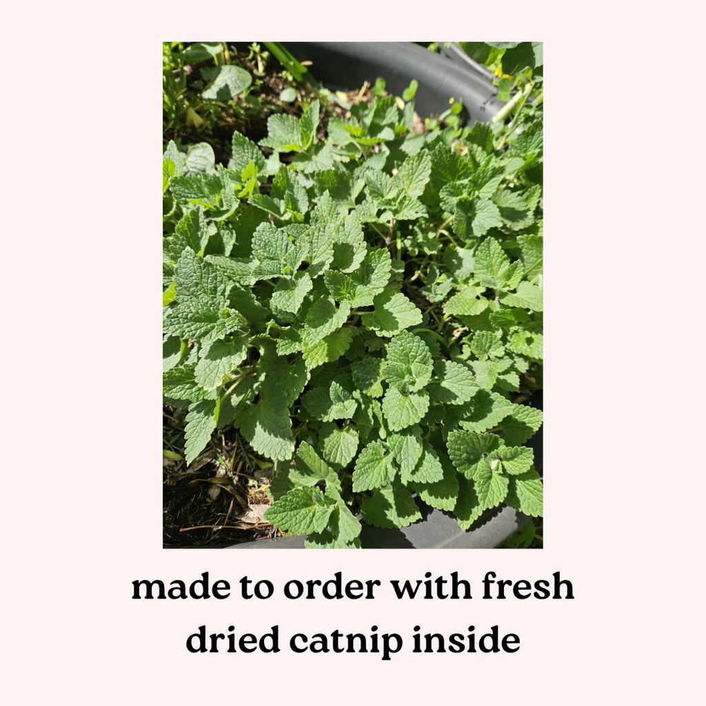 Everyday Catnip Kickaroos- Mushrooms