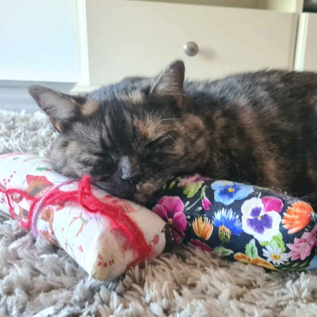 Everyday Catnip Kickaroos- Red Stars