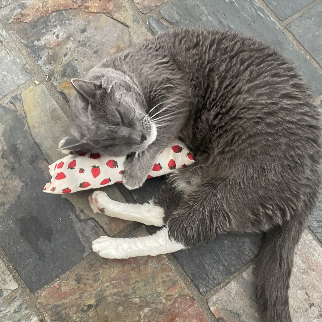 Everyday Catnip Kickaroos- Red Stars