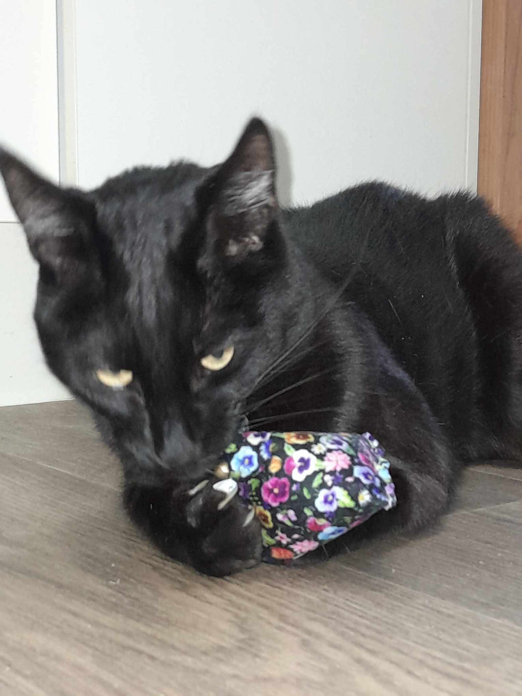 Catnip Pillows