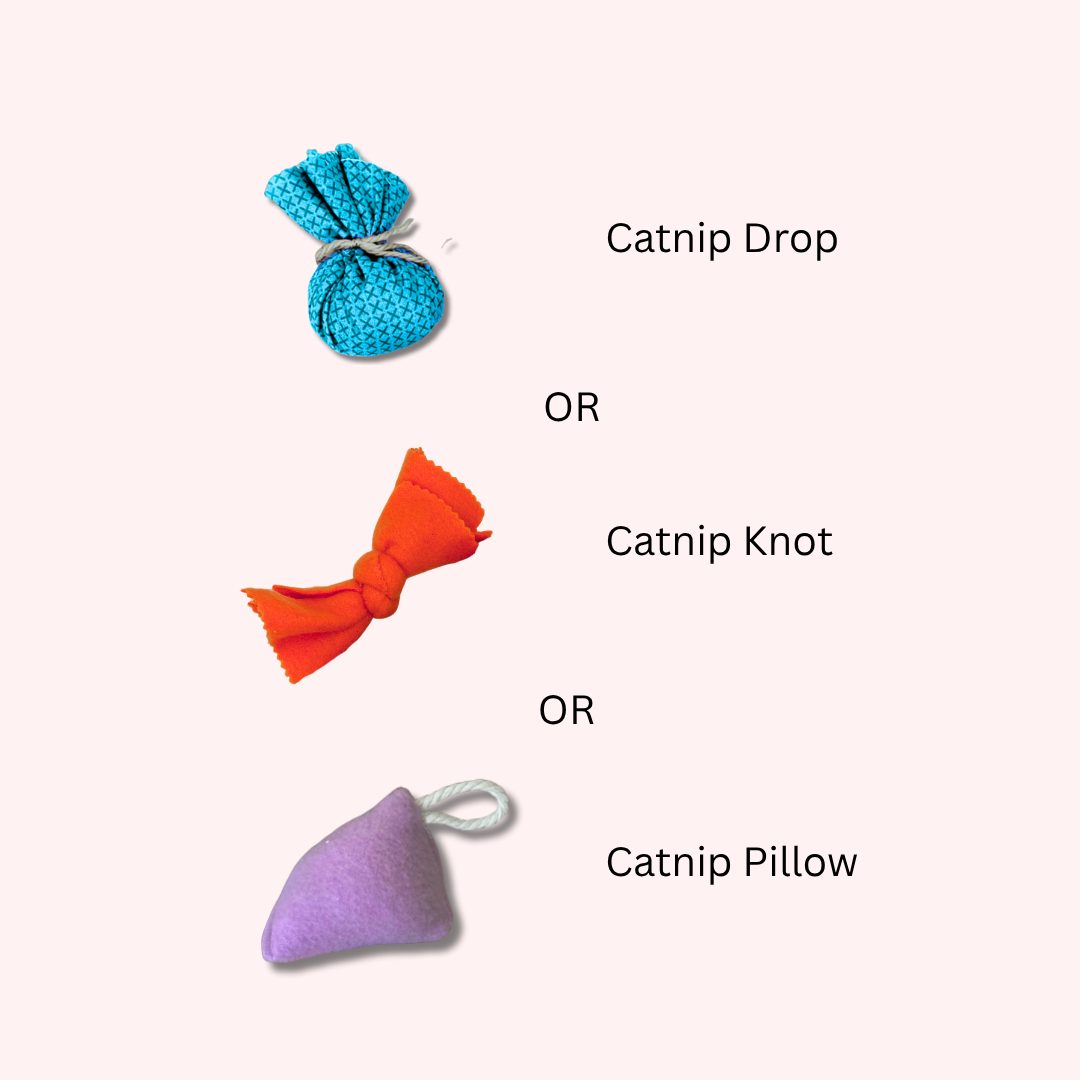 Cat Filled Christmas Stocking