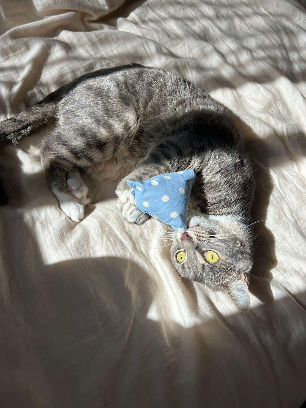 Catnip Pillows