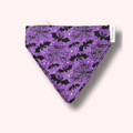 Over the Collar Cat Bandana - Purple Bats