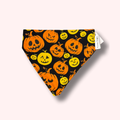 Over the Collar Cat Bandana - Pumpkin