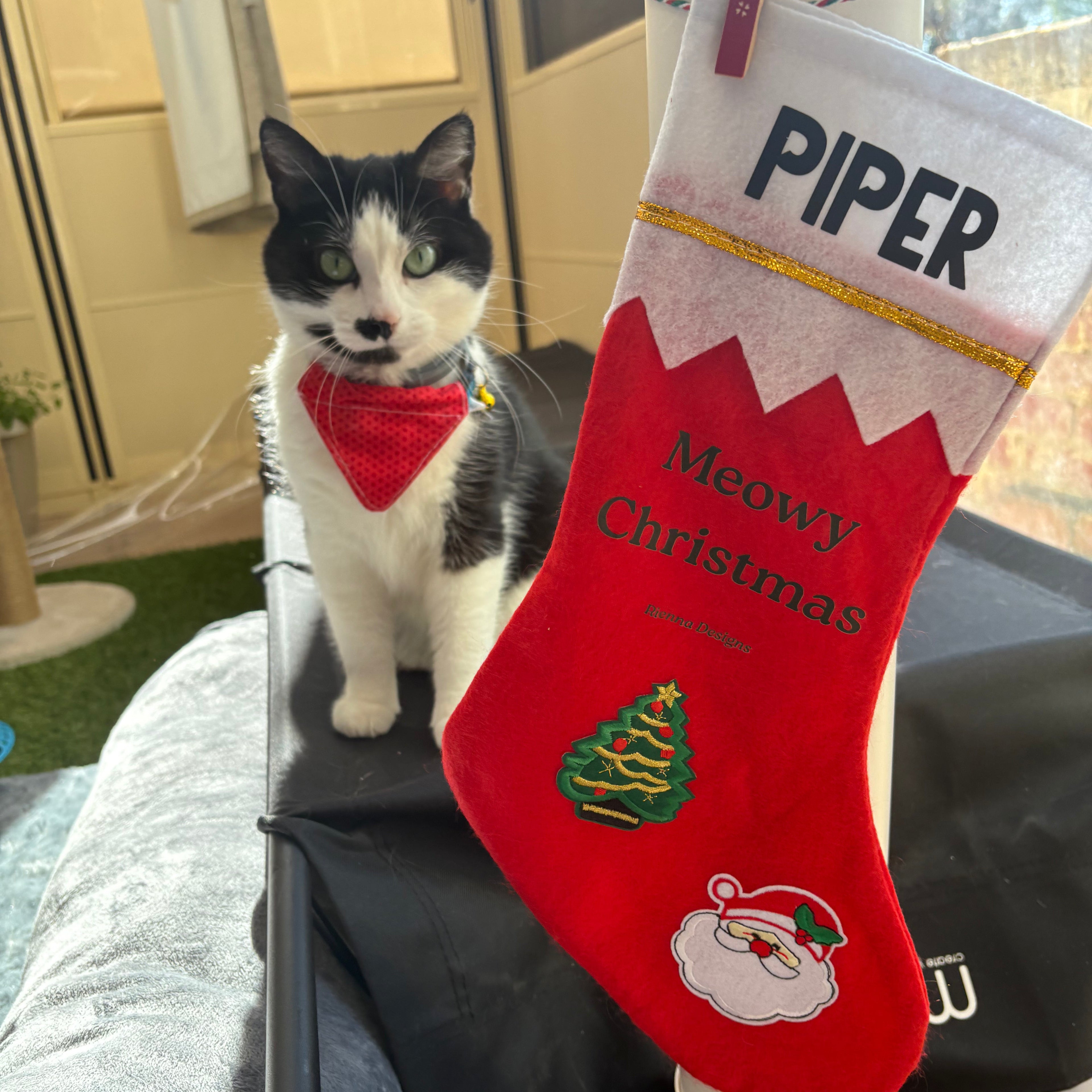 Personalised Cat Empty Christmas Stocking