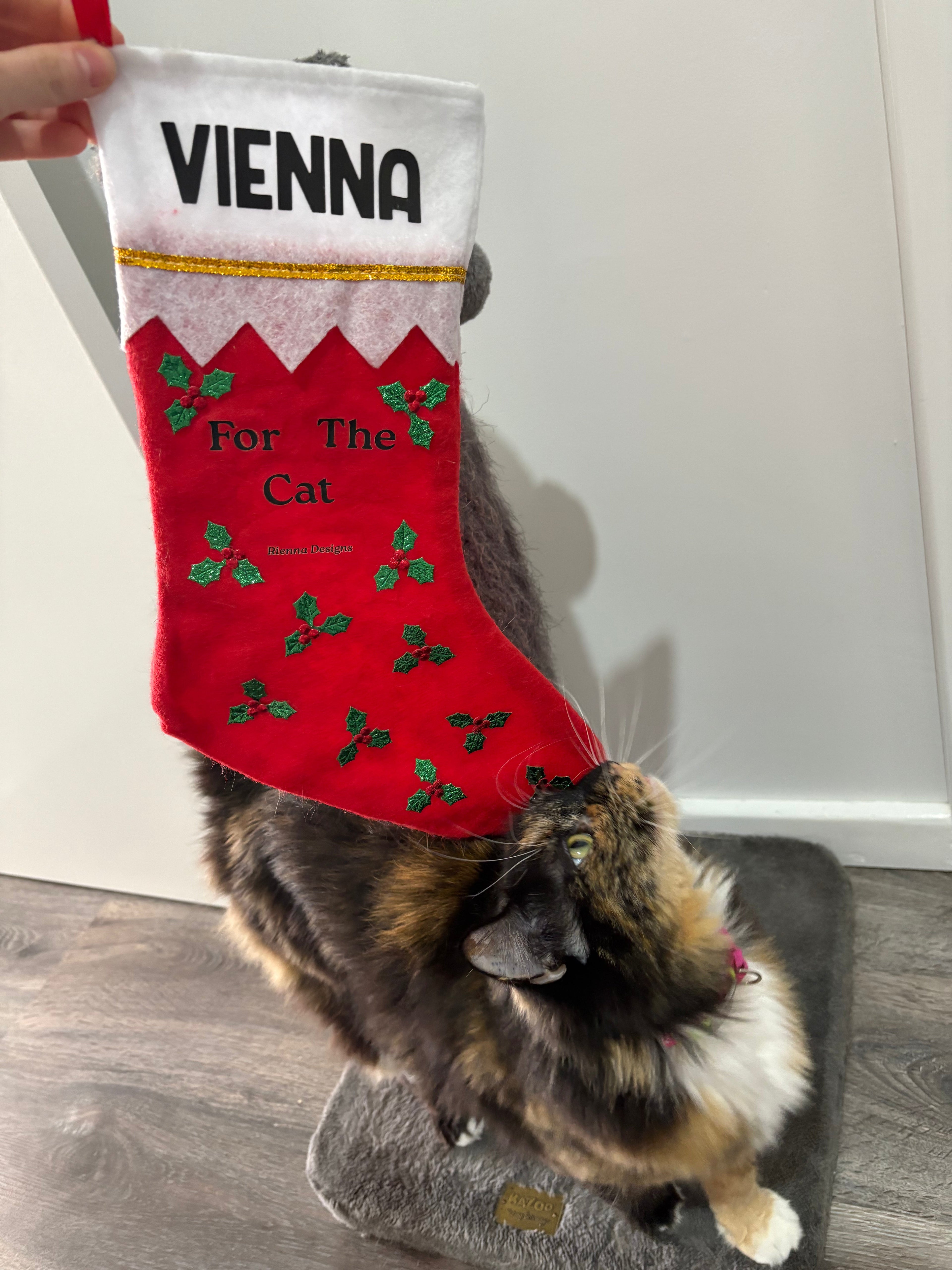 Cat Filled Christmas Stocking