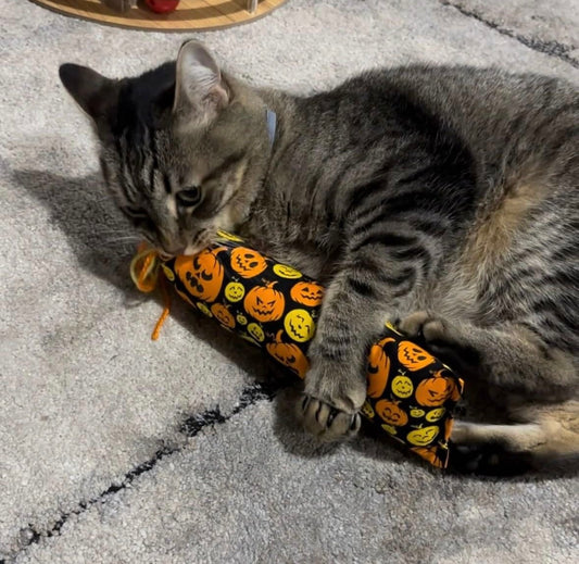 Catnip Kickaroo
