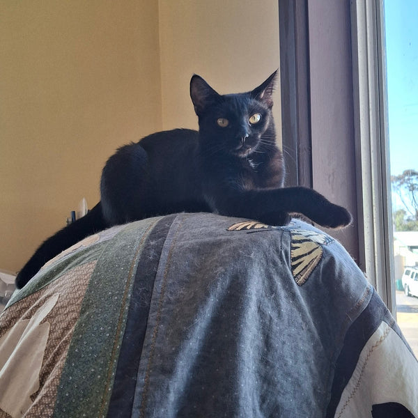 Salem