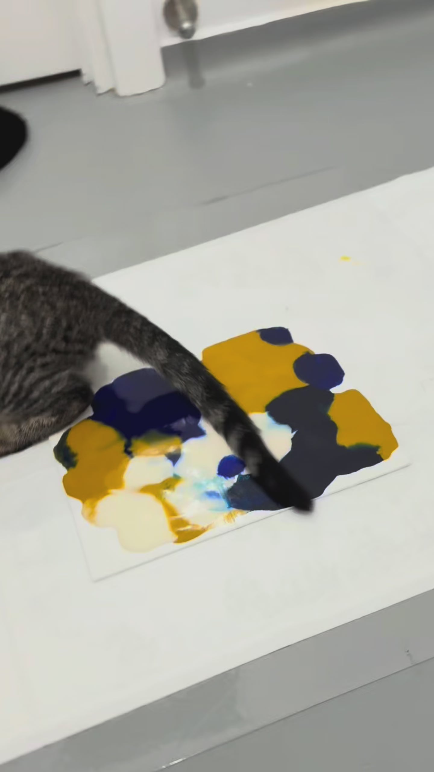 Kitty Mail Club Ships 27th Feb