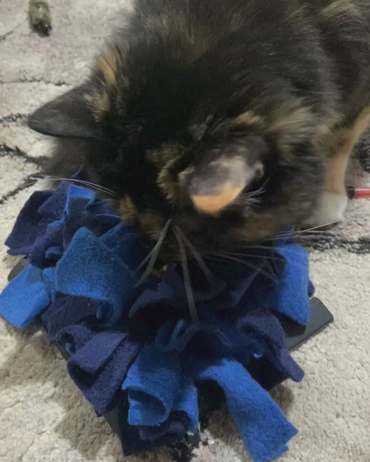 Cat Snuffle Mat