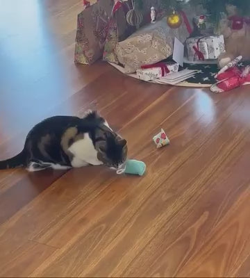 Catnip Pillows