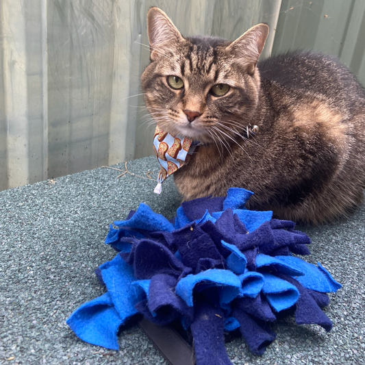 Snuffle Mat
